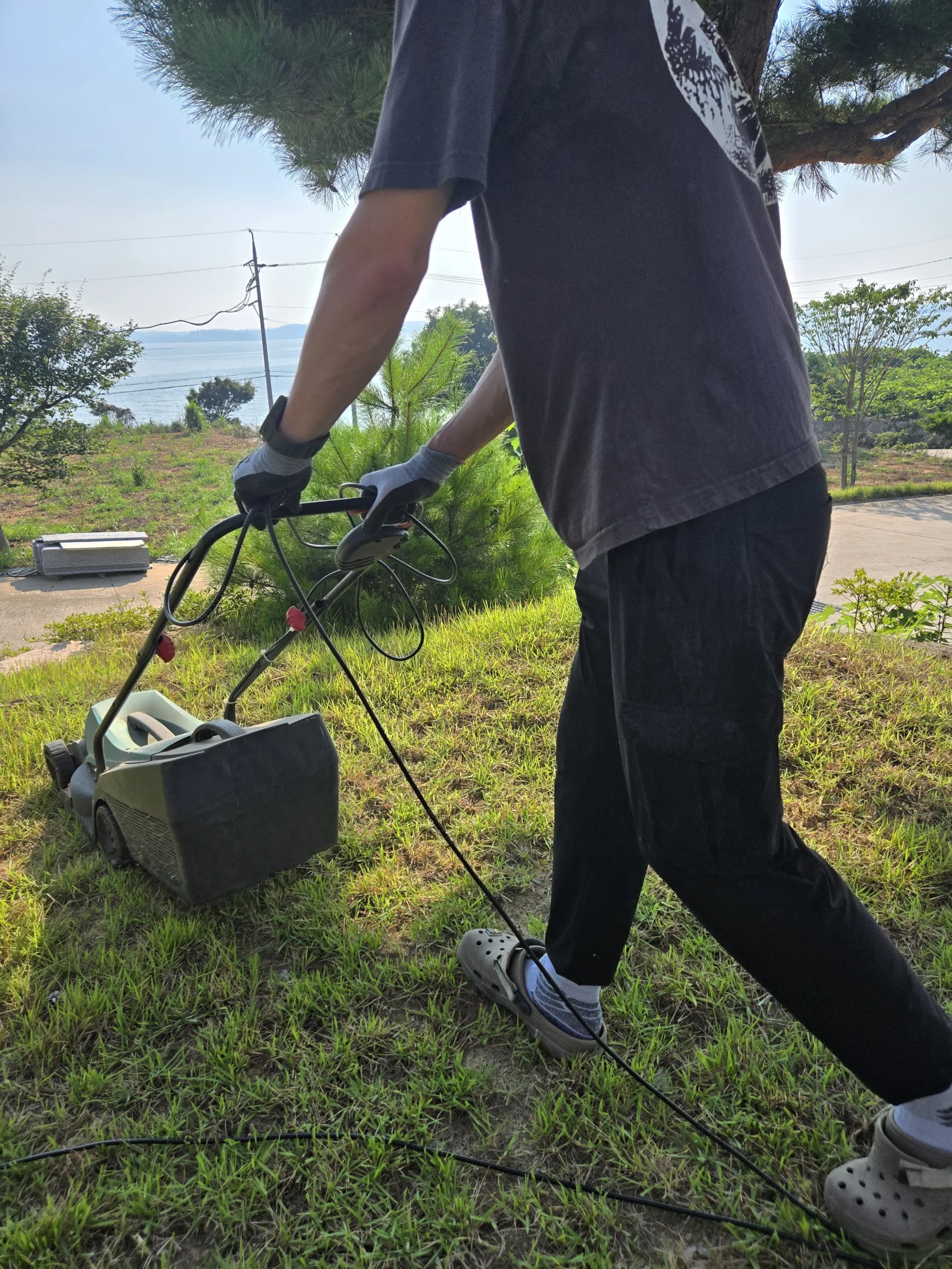 마당 잔디 관리 실습